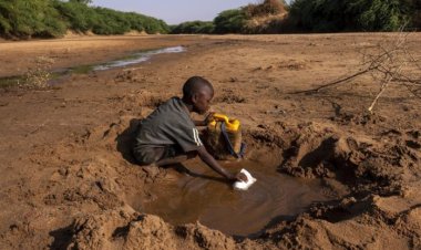 SÉCURITÉ ALIMENTAIRE:  La sécheresse menace la Corne de l'Afrique.