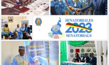 Élections sénatoriales au Cameroun le RDPC part favoris