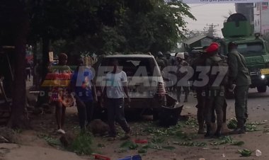 ASCENSION DU MONT CAMEROUN : 3 EXPLOSIONS FONT PANIQUER BUÉA