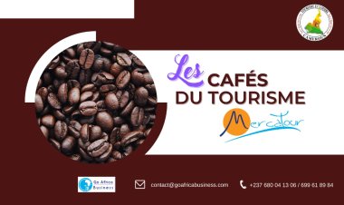 Tourisme et loisirs : le MERCATOUR fait le tour à Limbe