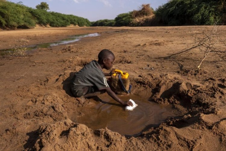 SÉCURITÉ ALIMENTAIRE:  La sécheresse menace la Corne de l'Afrique.