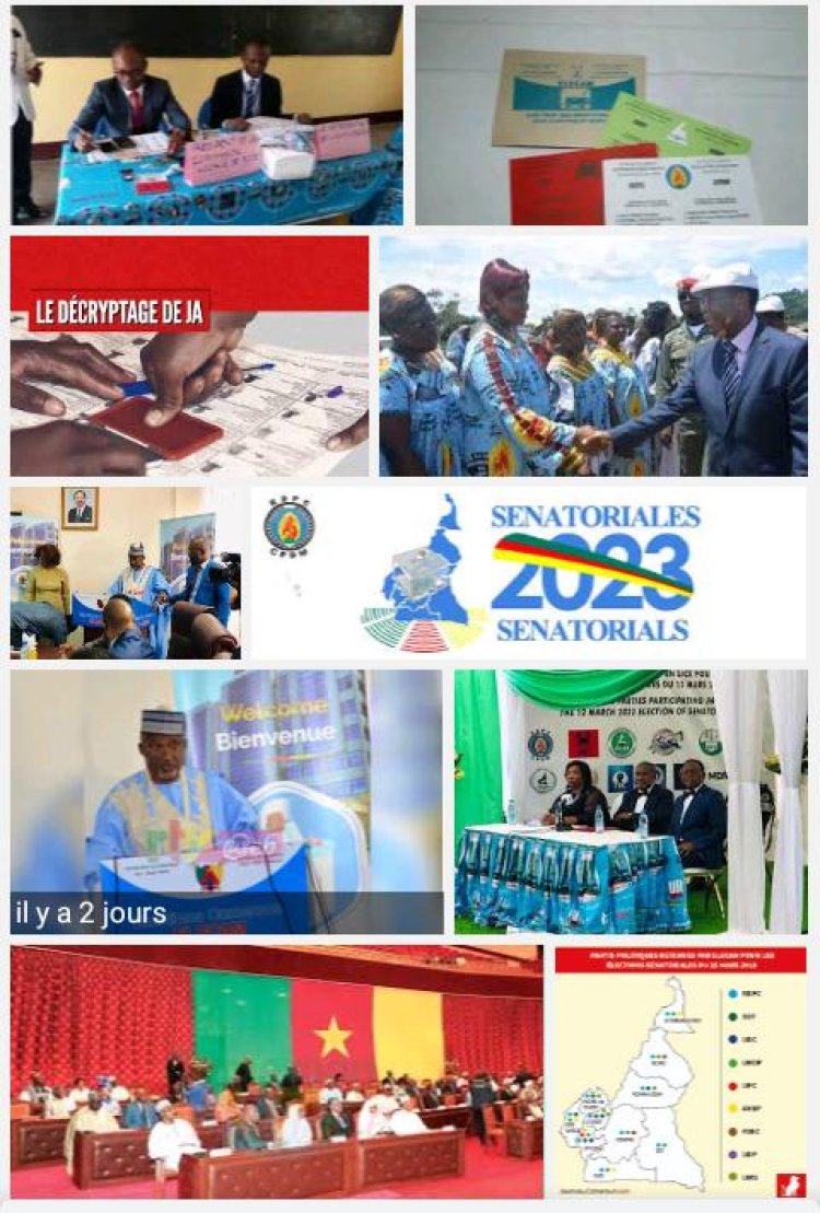 Élections sénatoriales au Cameroun le RDPC part favoris