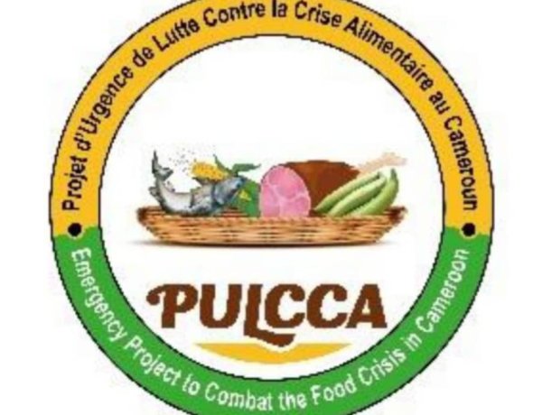PULCCA : Un projet d'aide alimentaire entaché par un scandale financier ?**
