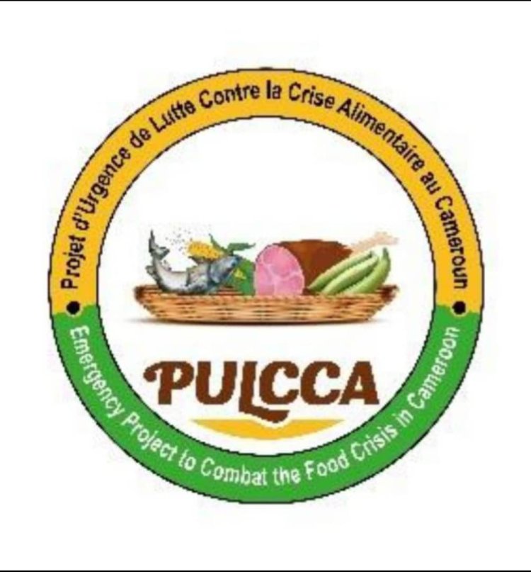 PULCCA : Un projet d'aide alimentaire entaché par un scandale financier ?**