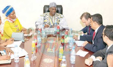 Visa pour les travailleurs étrangers au Cameroun : Vers un renforcement de la réglementation