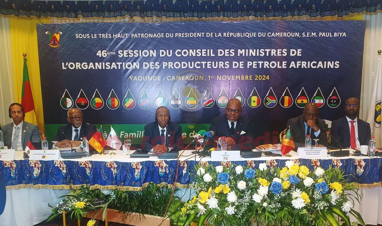 Cameroun : l’APPO clôt son 46e Conseil des ministres par un appel aux 18 pays membres à fournir leur part de capital pour le lancement de l’AEB