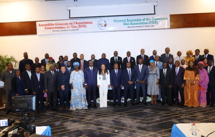 Cameroun : Le secteur gazier s'offre un nouveau souffle avec la relance de l'ACG