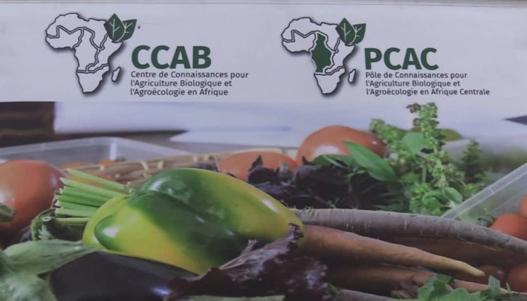 Cameroun - Yaoundé : Le PCAC lance une campagne nationale pour repositionner l’agriculture biologique au cœur du modèle agricole camerounais