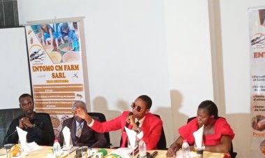 YAOUNDÉ : Quand les Jeunes Camerounais Bâtissent Leur Propre Avenir Entrepreneurial