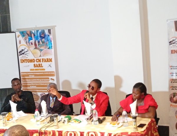 YAOUNDÉ : Quand les Jeunes Camerounais Bâtissent Leur Propre Avenir Entrepreneurial