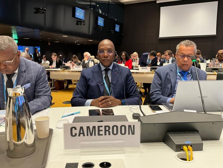 Cameroun à l'OMS : engagement pour la santé universelle