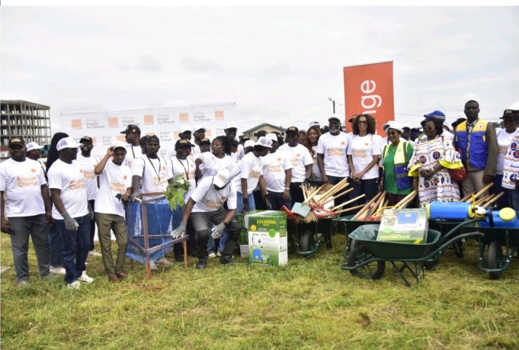 Orange Green City : plus de 500 arbres plantés à Douala pour un avenir plus vert