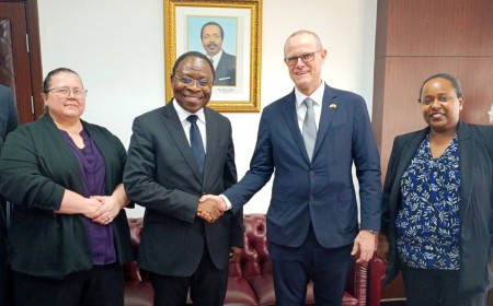 Énergie et Eau : Le Cameroun séduit les investisseurs US