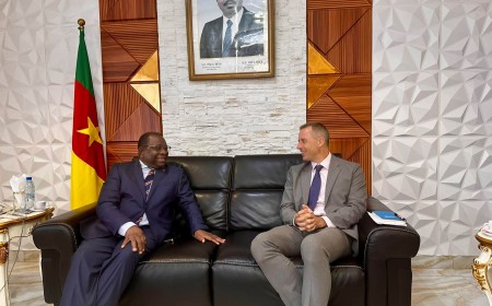 Cameroun – Royaume-Uni : une mission économique en décembre
