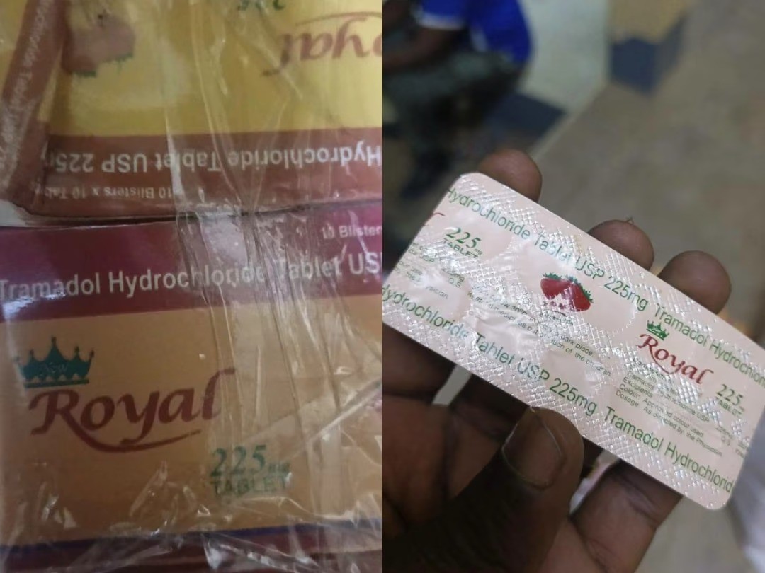 Maroua : 13 000 comprimés de tramadol saisis à la frontière
