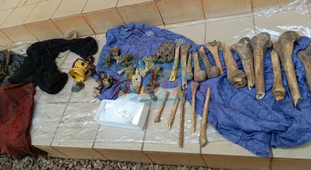 Trafic d’ossements à Pitoa : 6 millions pour un cousin