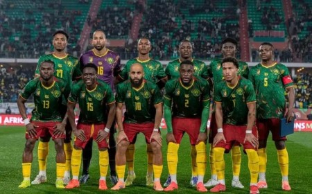 Classement FIFA : le Cameroun grimpe à la 42e place