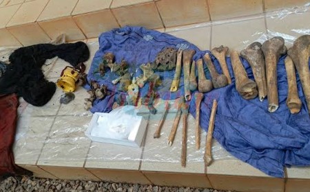 Trafic d’ossements à Pitoa : 6 millions pour un cousin